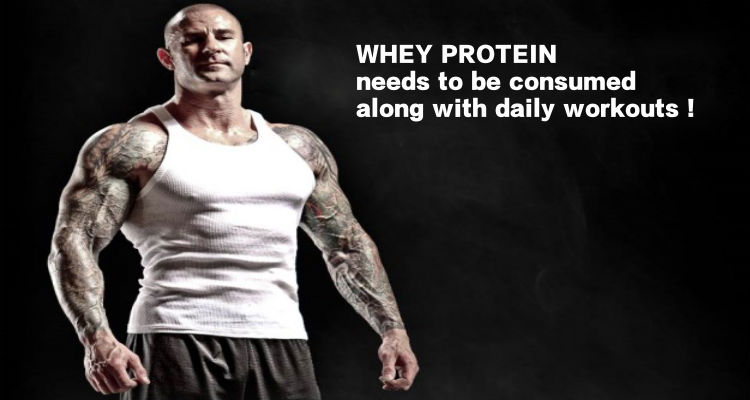 whey protein is pre-requisite for body builders